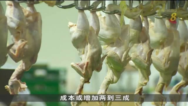食品局：马国鸡只出口禁令 不包括加工家禽产品