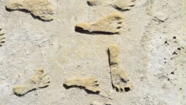 美国新发现人类脚印化石 验证人类逾两万年前就踏上北美土地