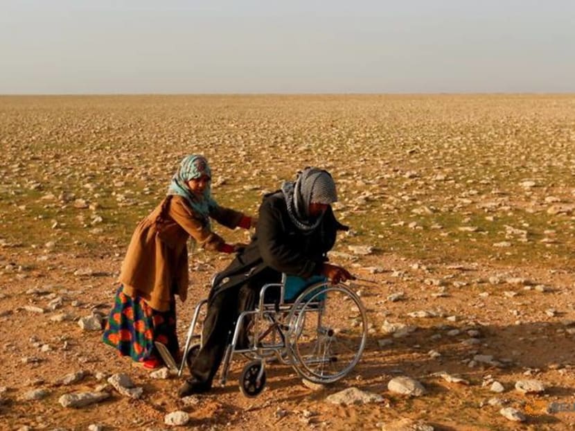 'A blessing from God': Iraqi truffle hunters unearth desert harvest 'A blessing from God': Iraqi truffle hunters unearth desert harvest