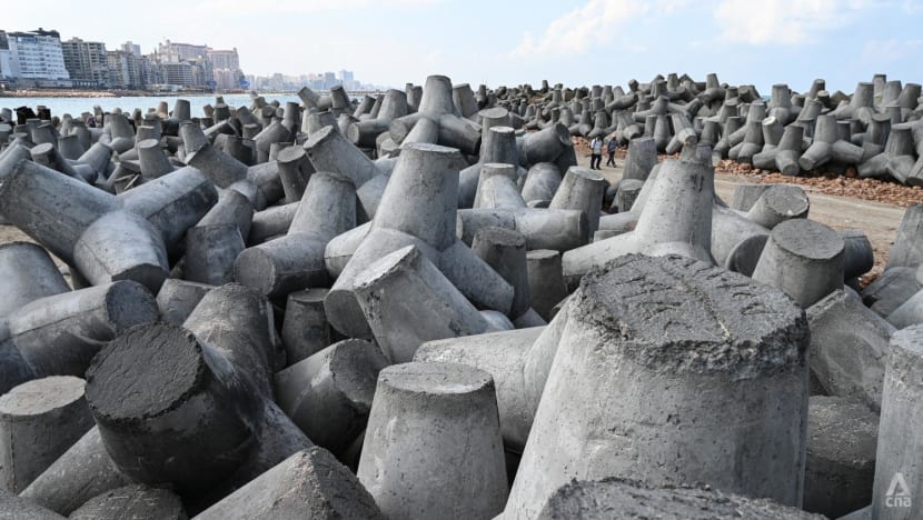 alexandria 8