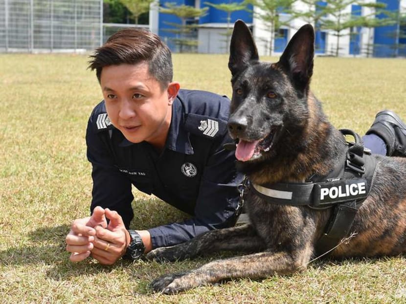 Man's best friend - and colleague: The service dogs of the Police K-9 Unit