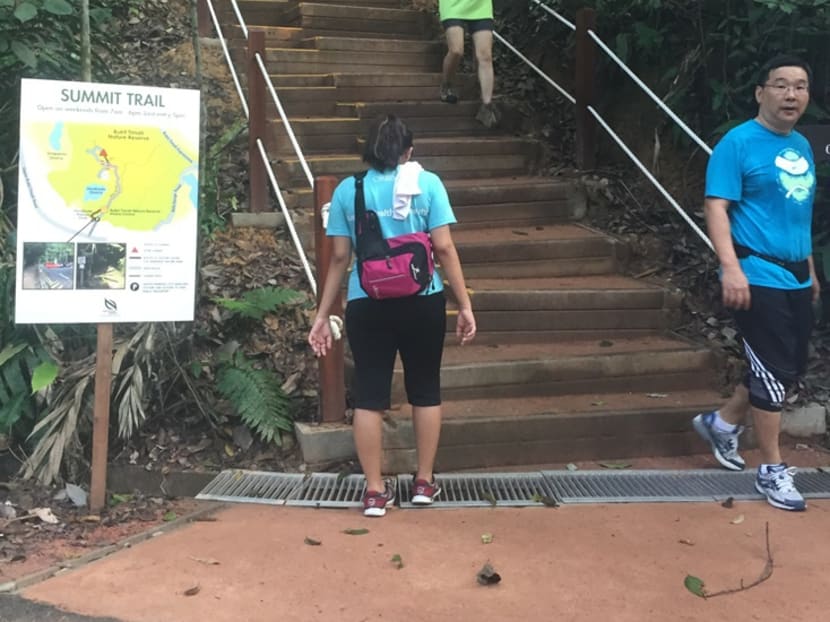 The Summit Trail at the Bukit Timah Nature Reserve. Photo: Channel NewsAsia/Sara Grosse