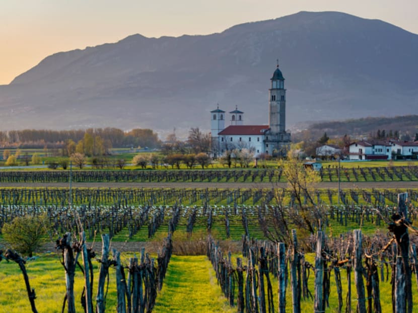 Not your usual European adventure: Paragliding in Slovenia’s Vipava valley on a ‘hike-fly-wine’ tour Not your usual European adventure: Paragliding in Slovenia’s Vipava valley on a ‘hike-fly-wine’ tour