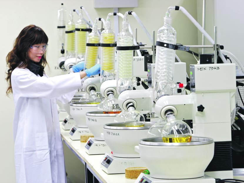 A scientist at a lab in Singapore. Bloomberg file photo
