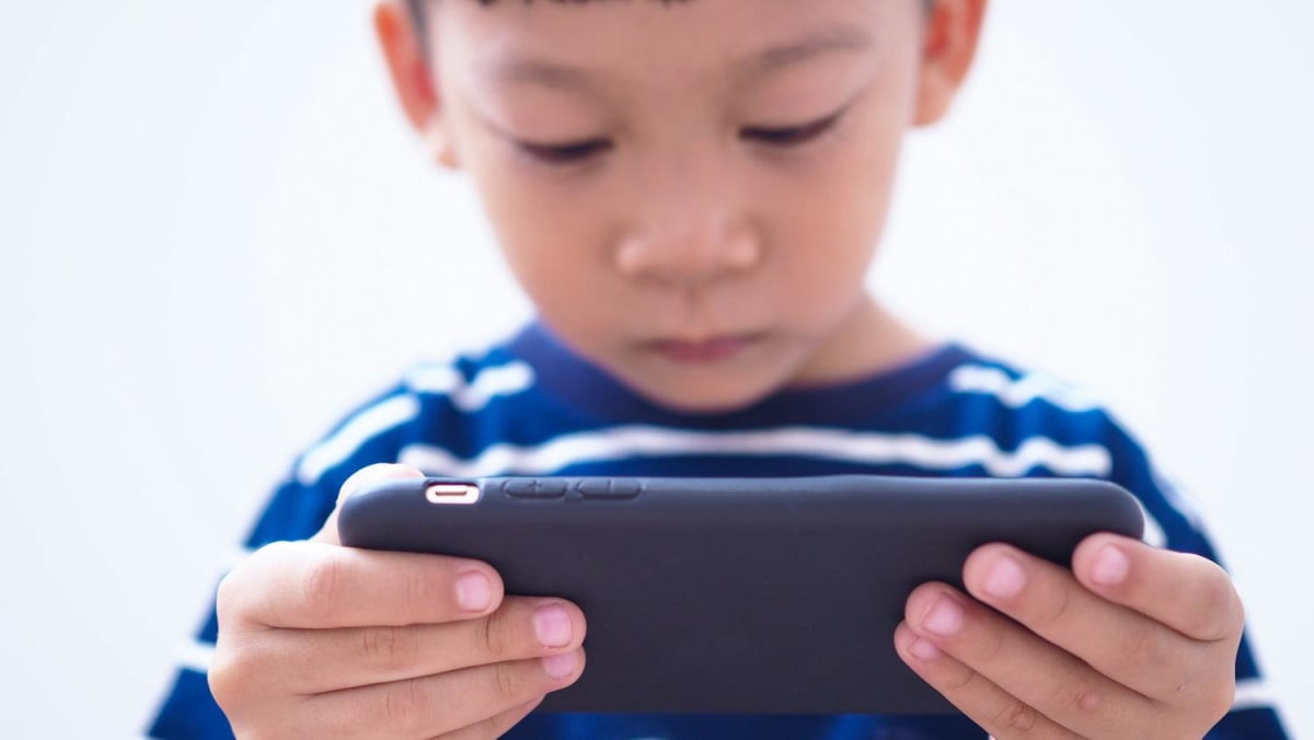 S'pore gets mostly As in child online safety index, but falls short in regulations protecting children from online harms - Vimarsana News