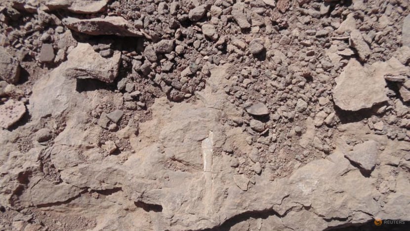 Scientists discover ancient cemetery of flying reptiles in Chile's Atacama desert Scientists discover ancient cemetery of flying reptiles in Chile's Atacama desert