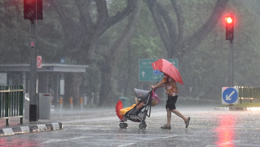 Warm, wet weather expected for the rest of April with highs of 34°C 