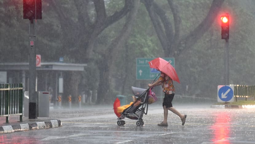 More traffic accidents involving elderly pedestrians in 2022: SPF