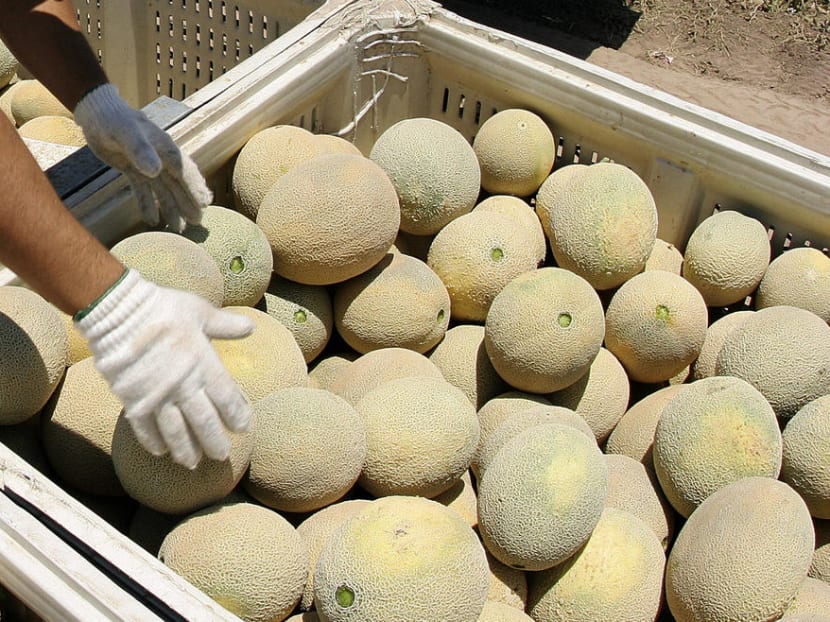 Malaysian authorities have imposed a temporary ban on imported rockmelons from Australia following reports of listeria contamination. Reuters file photo