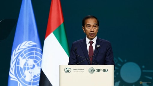 Indonesia keen to co-host 2025 U-20 World Cup with Singapore: President Jokowi