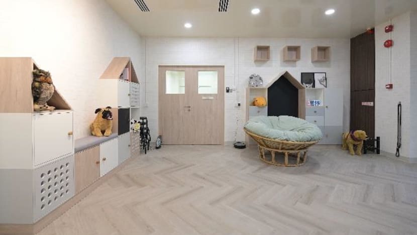 Singapore opens first dedicated facility for animal behavioural rehabilitation Singapore opens first dedicated facility for animal behavioural rehabilitation