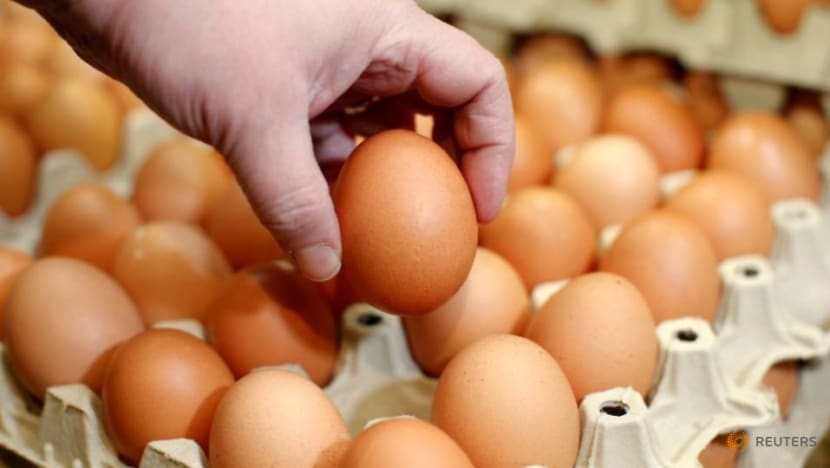 Singapore recalls eggs from Malaysian farm due to Salmonella bacteria
