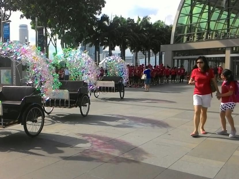 First phase of Jurong Lake Gardens to be complete by 2017