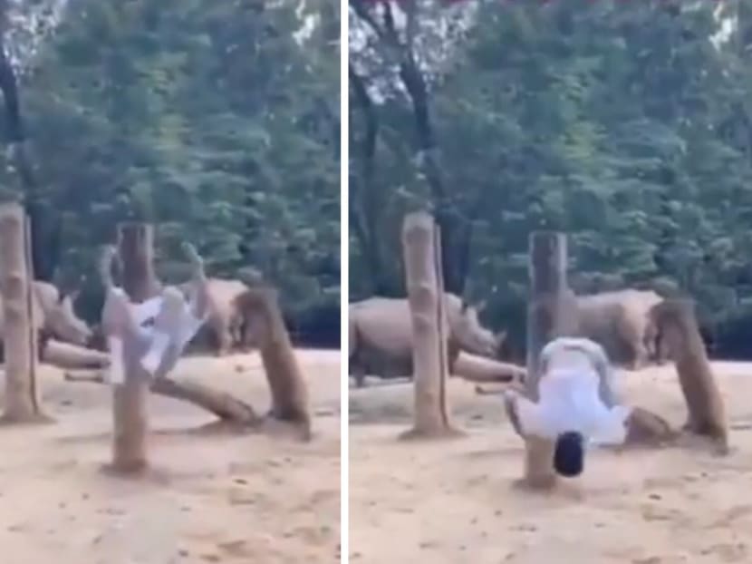 Police report made after visitor jumps into rhino enclosure at Singapore Zoo, does backflip for TikTok video Police report made after visitor jumps into rhino enclosure at Singapore Zoo, does backflip for TikTok video