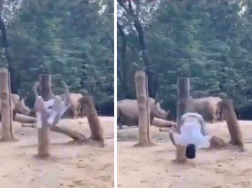 In a TikTok video uploaded by user @ralphwee_, the young man is seen getting into the enclosure, doing a backflip with two white rhinos in the background, and then quickly rushing to leap out of the fence.
