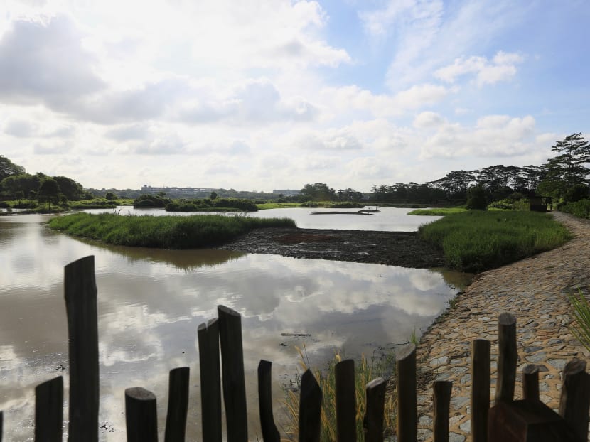 Marsh ado about Kranji Marsh ado about Kranji
