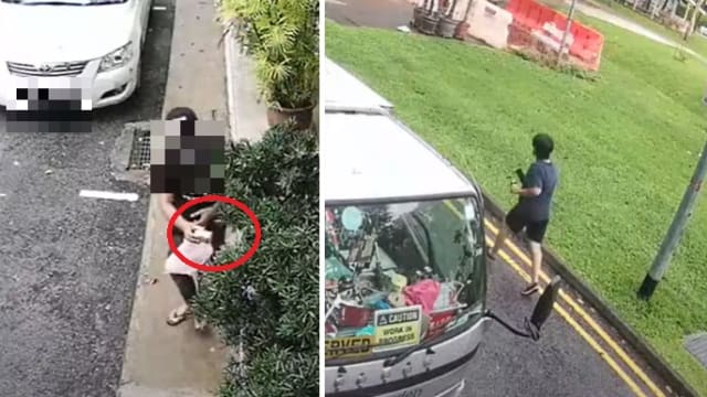 妇女“飞毛腿”抓垃圾虫！ 公开电眼录像警告 