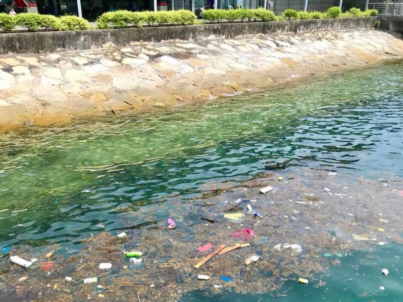 Plastic waste floating in the sea near Marina South Pier, as pointed out by the author's daughter.