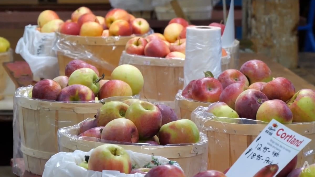 New York apple farms face downpour of challenges as climate change threatens billion-dollar industry