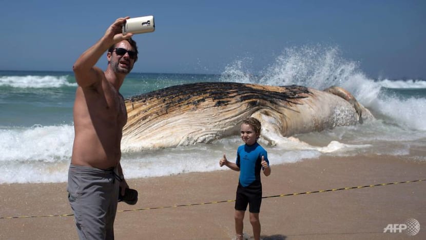 Selfies: Five times more deadly than shark attacks Selfies: Five times more deadly than shark attacks