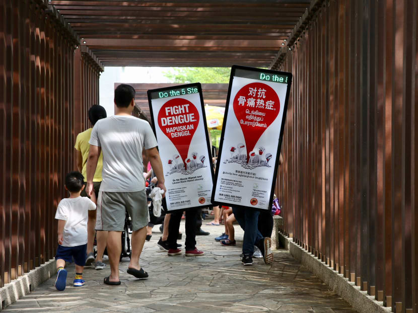 After the number of dengue cases hit a 16-year low last year, the authorities have called on the public not to let their guard down. After the number of dengue cases hit a 16-year low last year, the authorities have called on the public not to let their guard down.