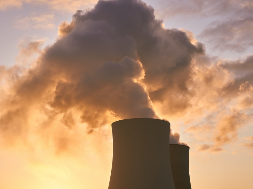 Carbon offsets: A booming market or greenwashing? Carbon offsets: A booming market or greenwashing?