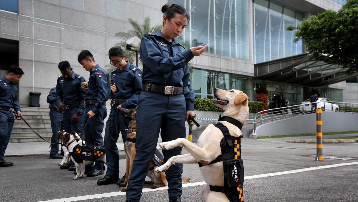 Spf k9 unit sales