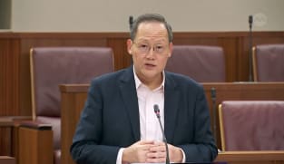 Tan See Leng on Singapore’s COVID-19 response