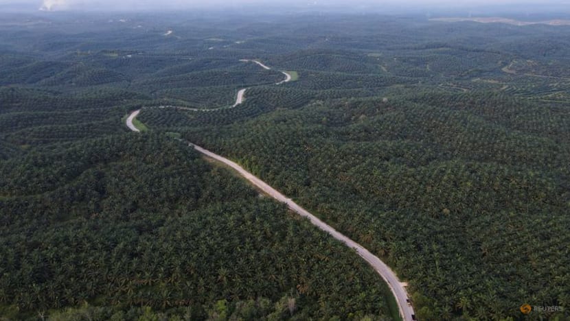 Indonesia palm oil export curbs, biodiesel plans to hit world vegoil supplies Indonesia palm oil export curbs, biodiesel plans to hit world vegoil supplies