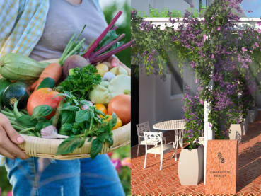 Gillman Barracks turns ‘green’ with inaugural local farm festival and new eco-friendly tenants
