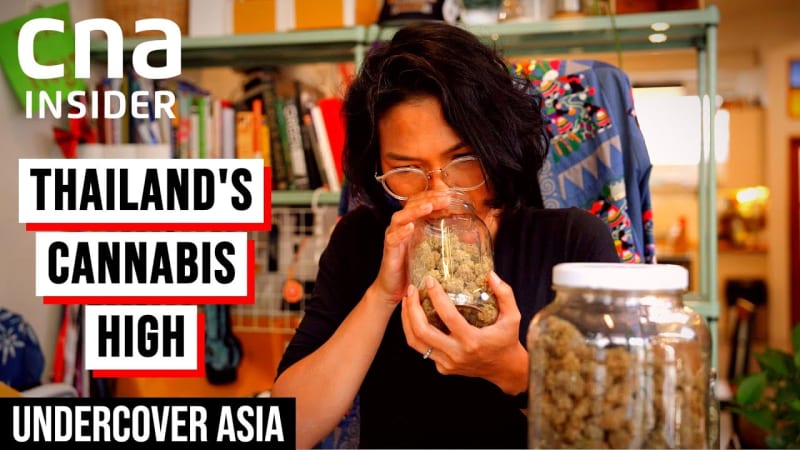 Thailand cannabis rush