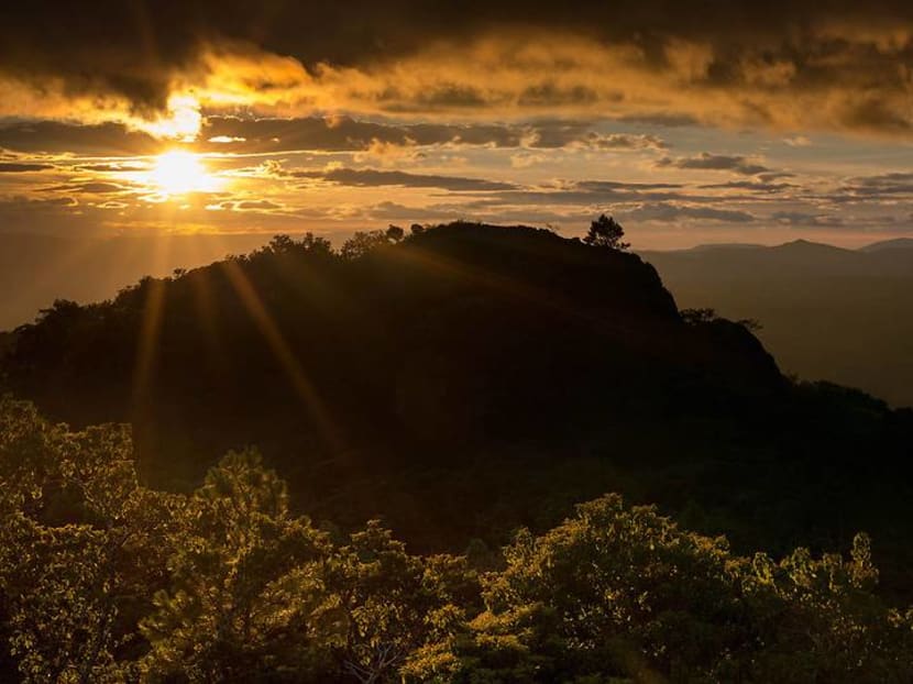 Have coffee, will travel: The coffee lover's guide to India, Nicaragua and Indonesia Have coffee, will travel: The coffee lover's guide to India, Nicaragua and Indonesia
