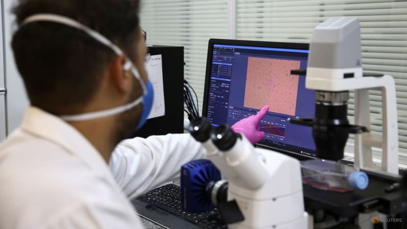 Brazilian viper venom may become tool in fight against COVID-19, study shows Brazilian viper venom may become tool in fight against COVID-19, study shows