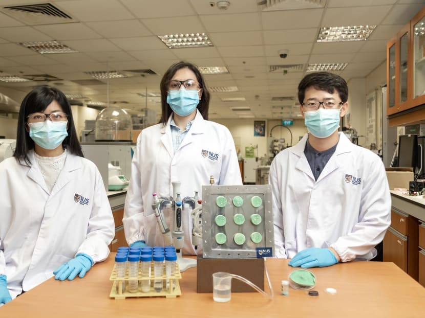 Dr Gamze Yilmaz (centre) and Dr Fan Lu Meng (right) were part of the research team that invented the water-producing aerogel, led by Professor Ho Ghim Wei (left).