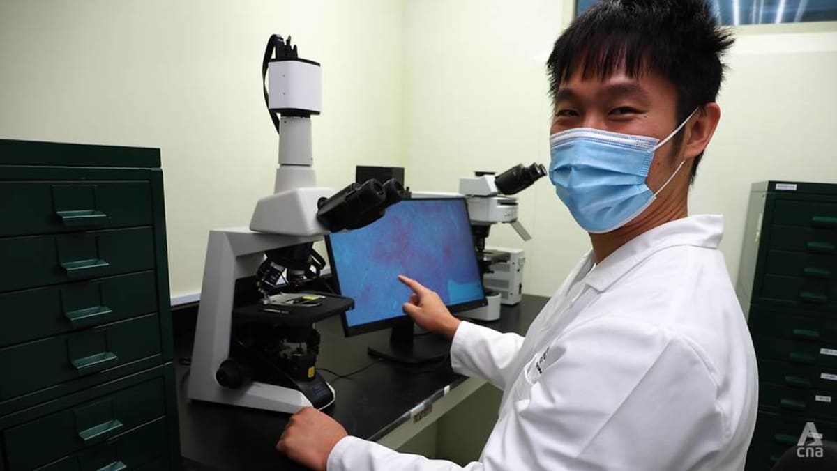 ‘Detektif penyakit’: Di dalam laboratorium kesehatan hewan nasional Singapura