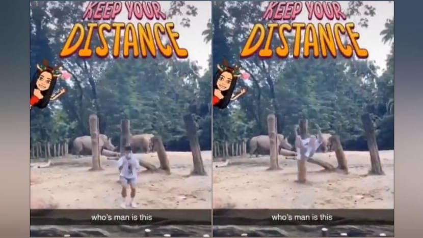 Man to be charged for criminal trespass after TikTok stunt at Singapore Zoo