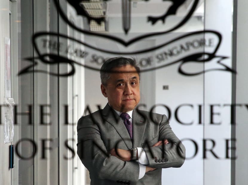Law Society president Adrian Tan defended the legal profession against commentators who have criticised the association and the vocation. 