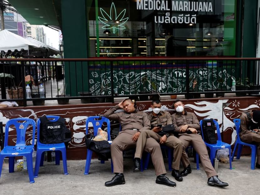 APEC host Thailand's budding marijuana industry faces backlash APEC host Thailand's budding marijuana industry faces backlash