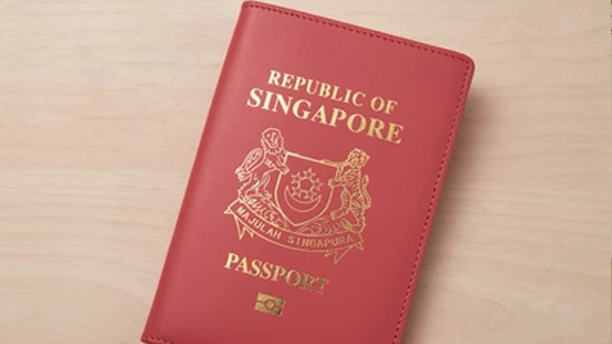 Unauthorised use of state crest prohibited, says MCCY in response to online sale of 'Singapore passport covers'