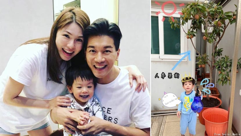 Netizens Are Obsessed Over TVB Actor Lai Lok Yi’s Apartment, Which Is Reportedly Worth S$18mil