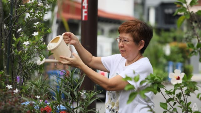 From Our Backyard: This seasoned home gardener grows her vegetables in repurposed plastic cups