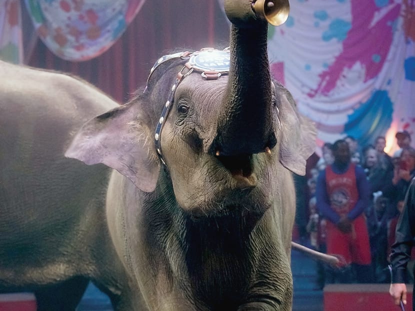 Gallery: Ringling Bros says circuses to be elephant-free in 3 years