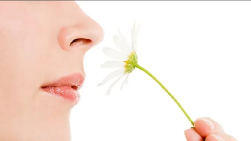 Hilang deria rasa dan bau mungkin gejala COVID-19: Kajian