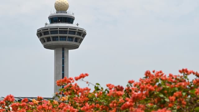 新加坡同印度29日启动VTL 每日六趟指定航班飞抵我国