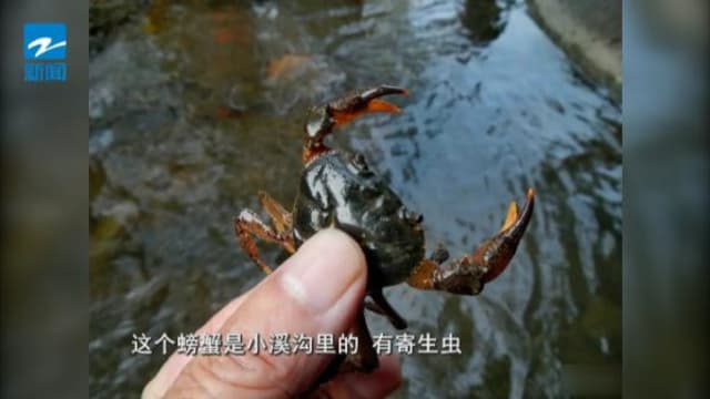 只为给女儿“报仇” 中国男子生吃螃蟹后进医院 
