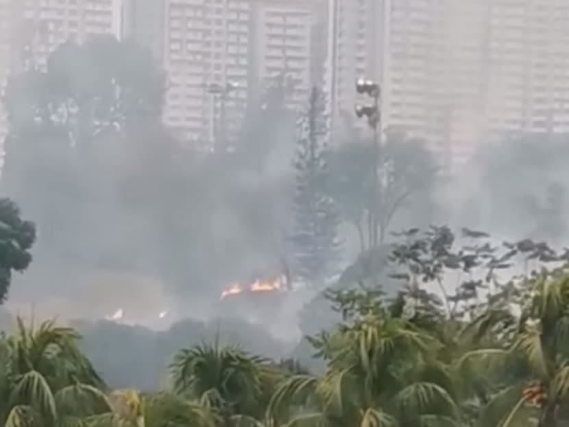 Grass fire the size of a football field breaks out in Jurong