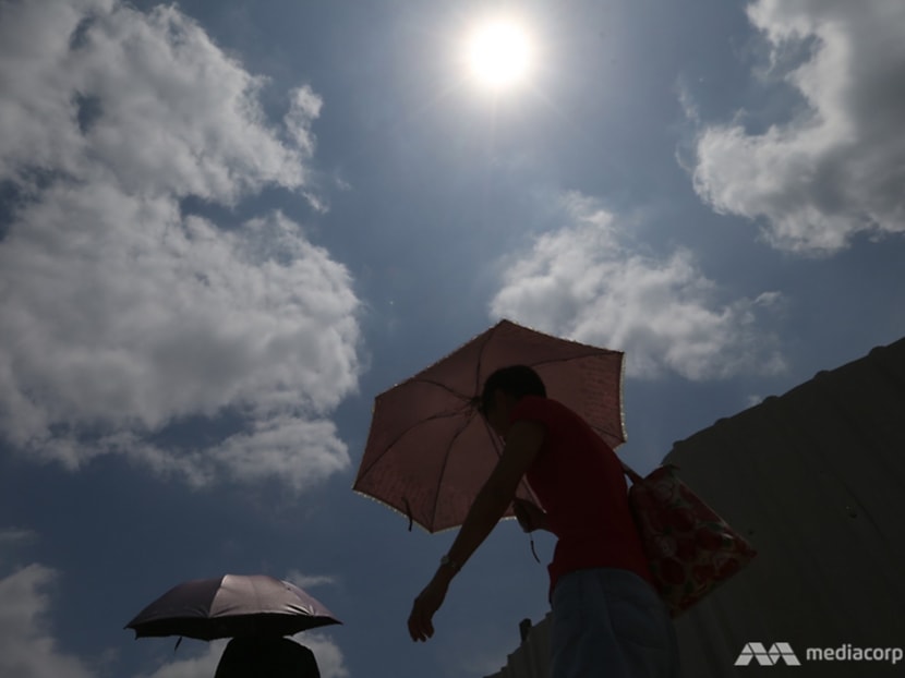 Commentary: Singapore could be a model for cooler cities in a world heating up Commentary: Singapore could be a model for cooler cities in a world heating up