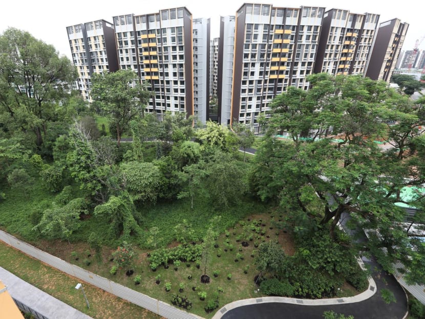 A hillock neighbouring the Woodleigh Glen Build-to-Order project on May 21, 2023. Woodleigh Glen is located in Woodleigh District, which is the first district in Bidadari estate to have all the flats completed.