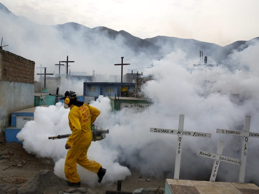 A health worker carries out fumigation as part of preventive measures against the Zika virus and other mosquito-borne diseases at the cemetery of Carabayllo on the outskirts of Lima, Peru February 1, 2016. Photo: Reuters