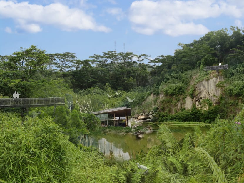 Artist’s impression: Freshwater habitat Artist’s impression: Freshwater habitat
